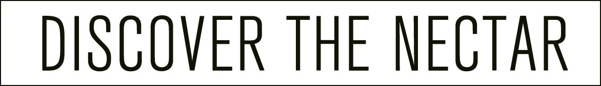 Discover section image